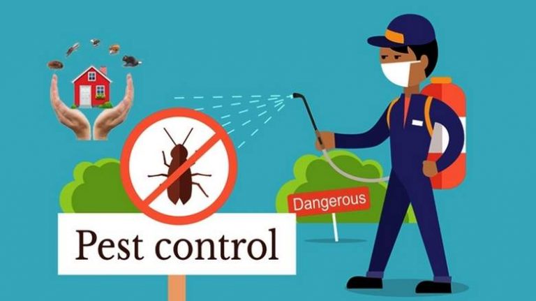 Top 10 Pest Control Companies in Toronto