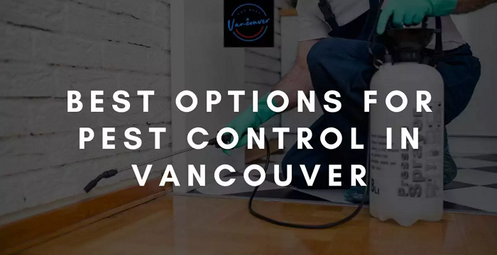 TOP 20 PEST CONTROL COMPANIES IN VANCOUVER