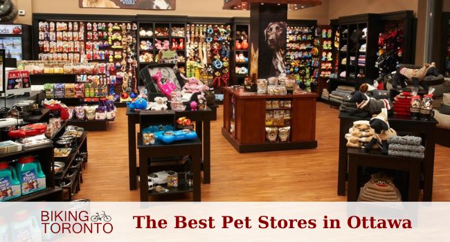 Pet Stores in Canada