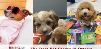 Top Pet Stores in Ottawa according to Internet