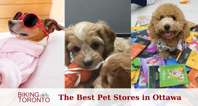 The Best 10 Pet Stores in Ottawa according to Internet